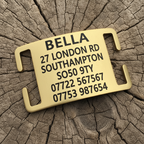 30mm Brass Split on Collar Tag