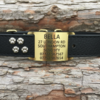 Slid on agility tag for leather collars