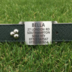 Agility and working dog stainless steel ID collar tag for LEATHER COLLARS.