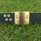 Agility and working dog Brass ID collar tag for LEATHER COLLARS