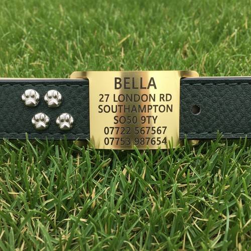 Agility and working dog Brass ID collar tag for LEATHER COLLARS