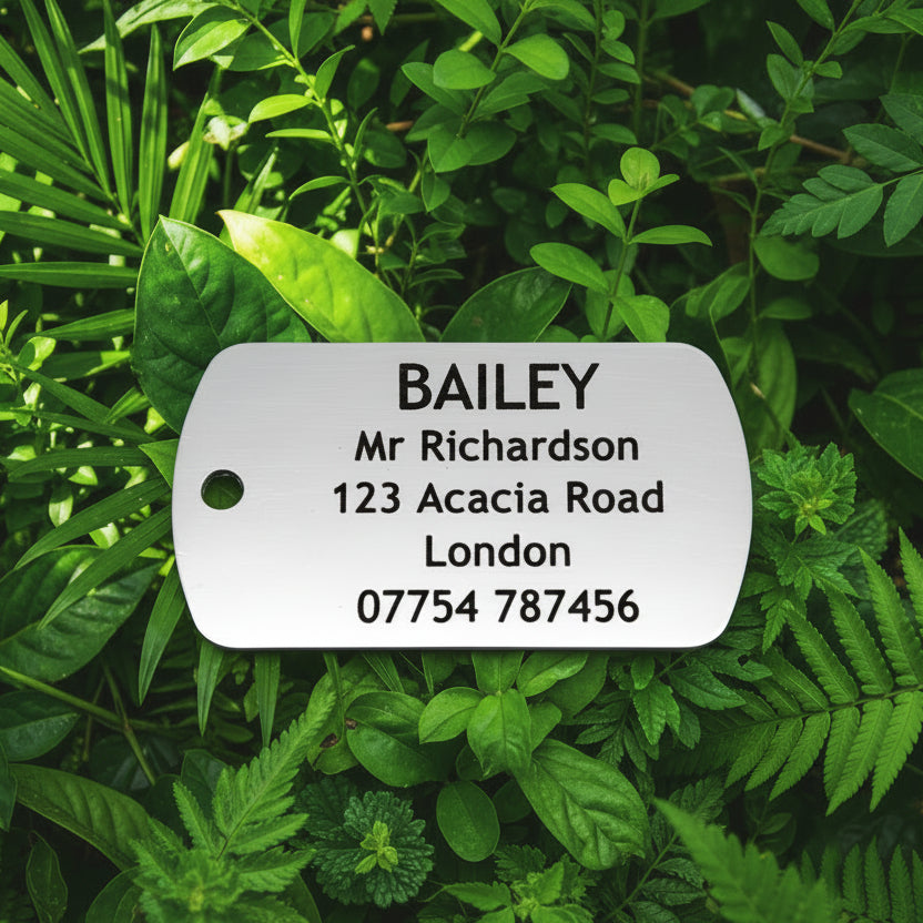Designer stainless steel Dog Tag style Pet ID Tag.